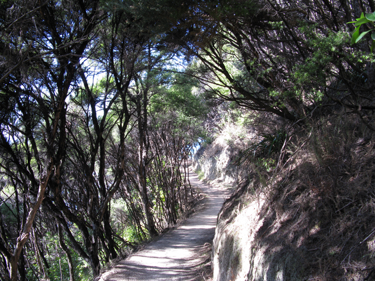 trail