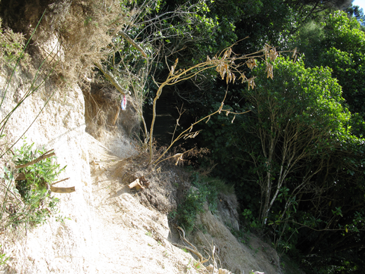 trail damage