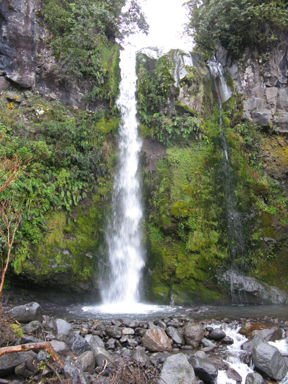 taranaki